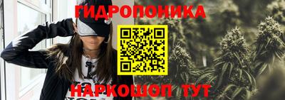 шишки Анжеро-Судженск