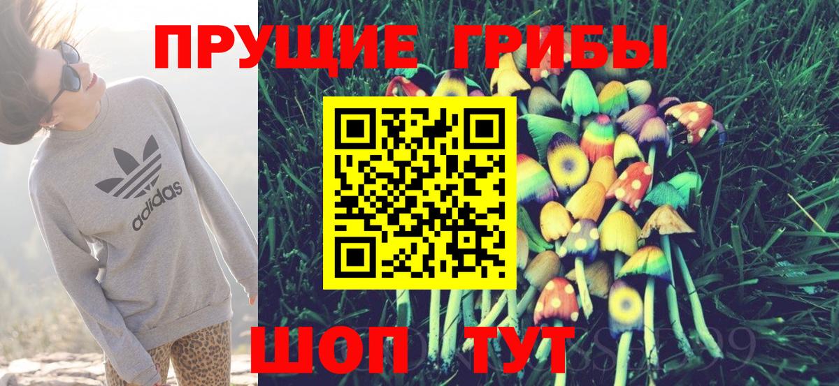 Псилоцибиновые грибы прущие грибы Спасск-Дальний