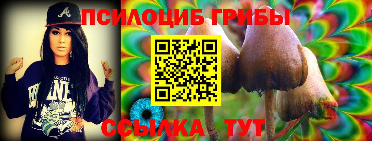 Псилоцибиновые грибы Magic Shrooms  наркошоп  Спасск-Дальний  Вход с VPN 
